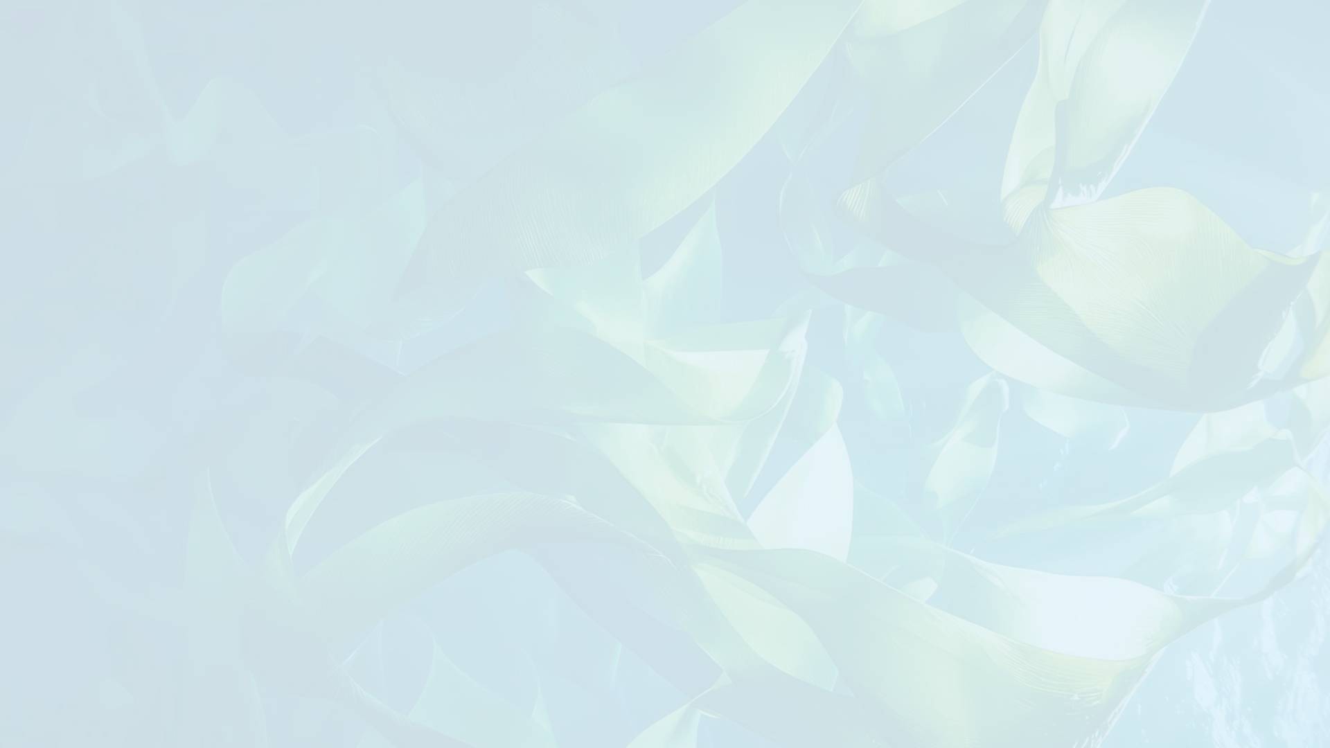 コンセプト