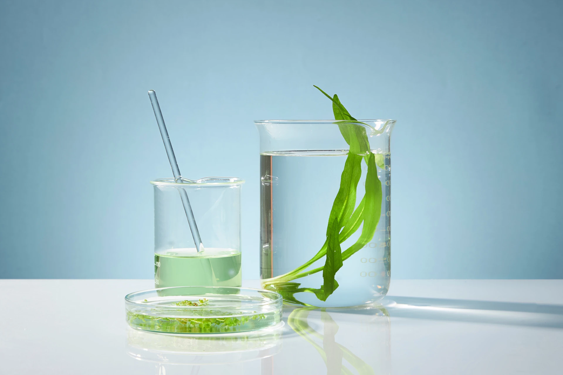 AdobeStock_583728751